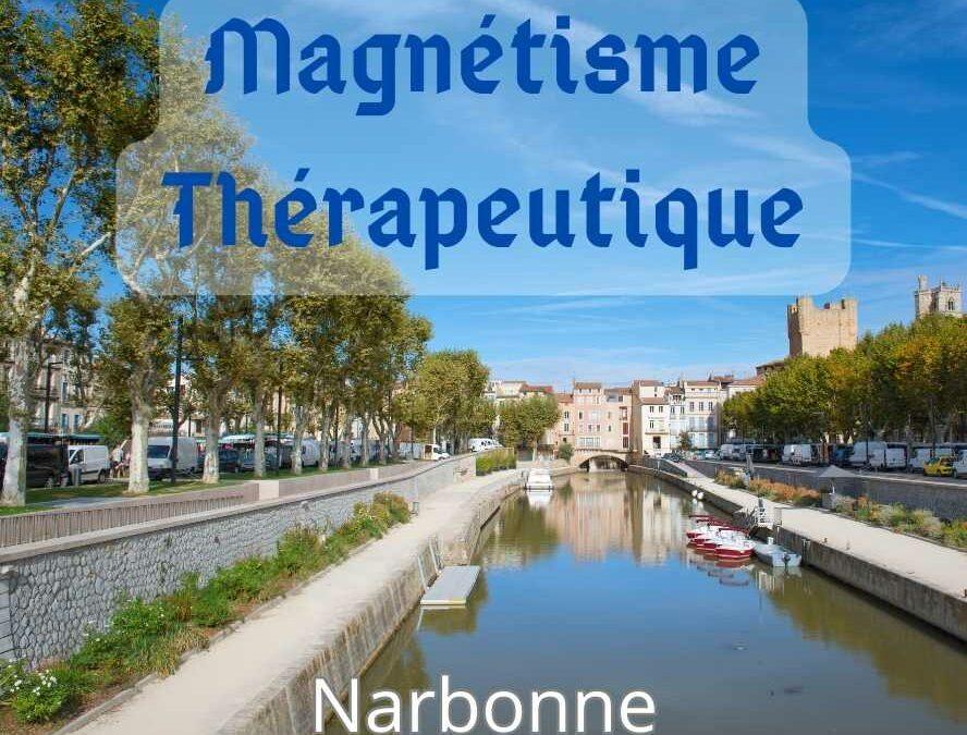 🌟 Narbonne: Formation au magnétisme Thérapeutique 18-21 fév 2024