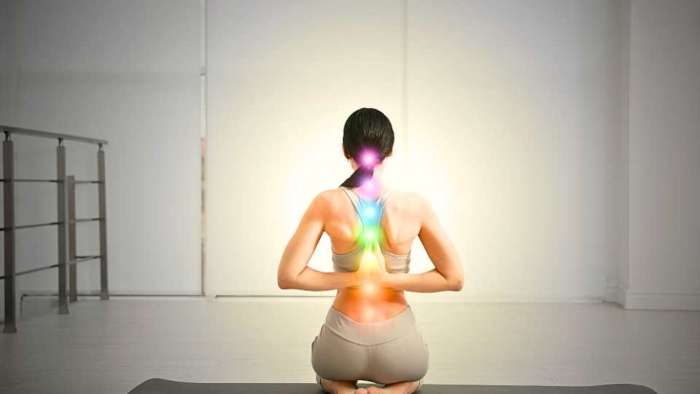 Les 7 Chakras : Centres Énergétiques, Équilibre et Formation en Magnétisme