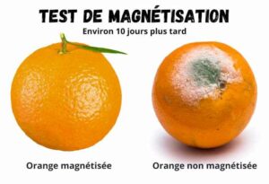 test magnétisation