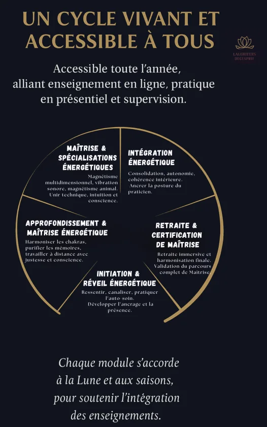 Schéma du Cycle de Maîtrise en magnétisme énergétique : initiation, approfondissement, maîtrise, retraite, intégration.